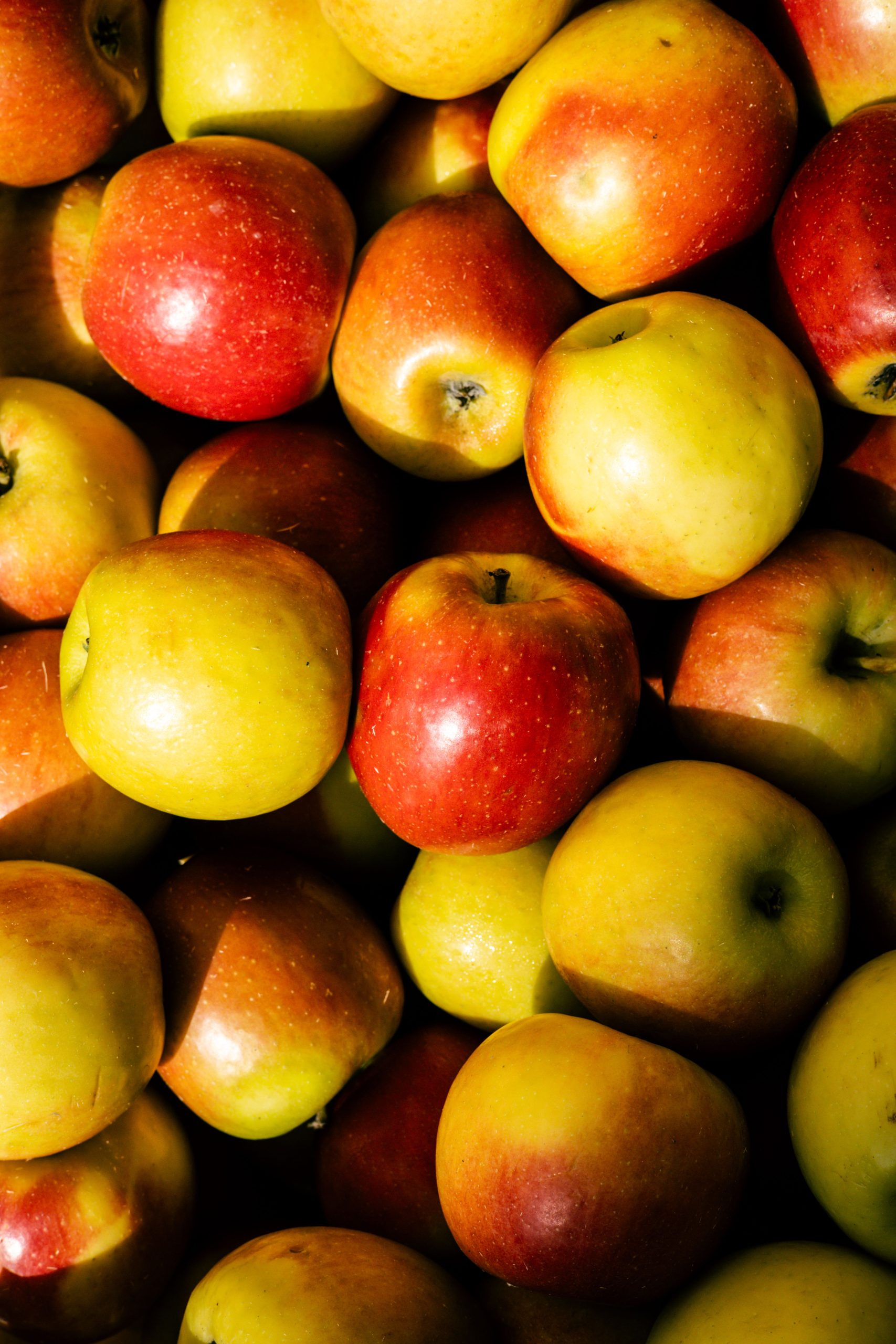 Recettes avec pomme jonagold
