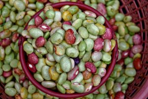 Haricots rouges et verts dans panier tressé