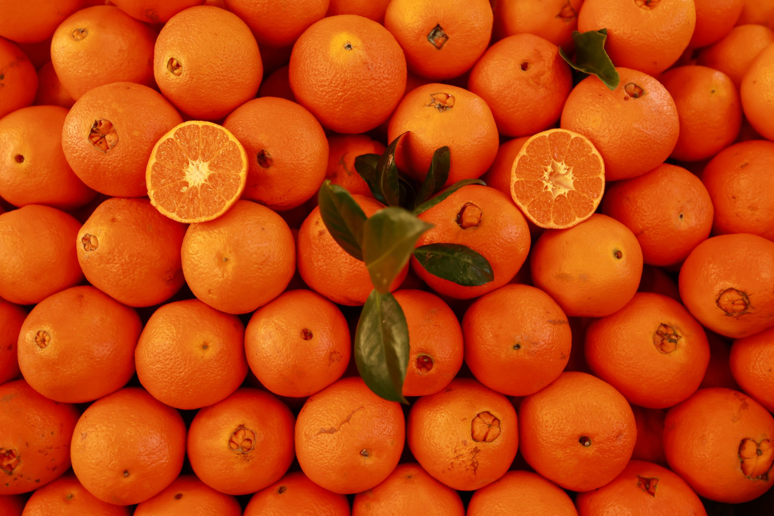 Tas de mandarines fraiches avec feuilles vertes