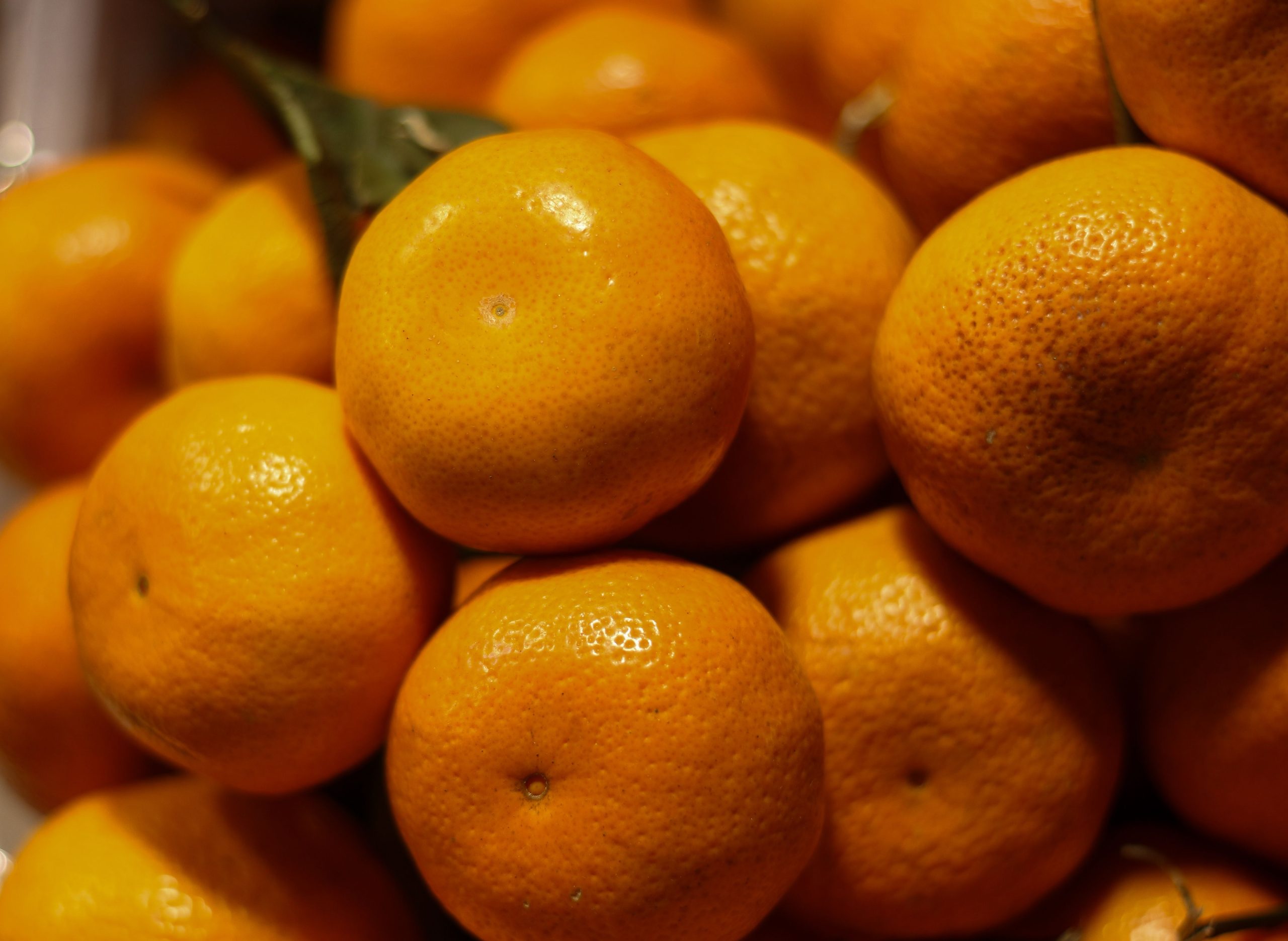 Mandarines mures en gros plan, couleurs eclatantes