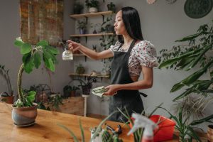 Femme vaporise plantes en pot avec soin