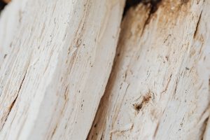 Bois clair de billes fraîchement sciées en lumière douce