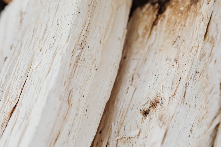 Bois clair de billes fraîchement sciées en lumière douce