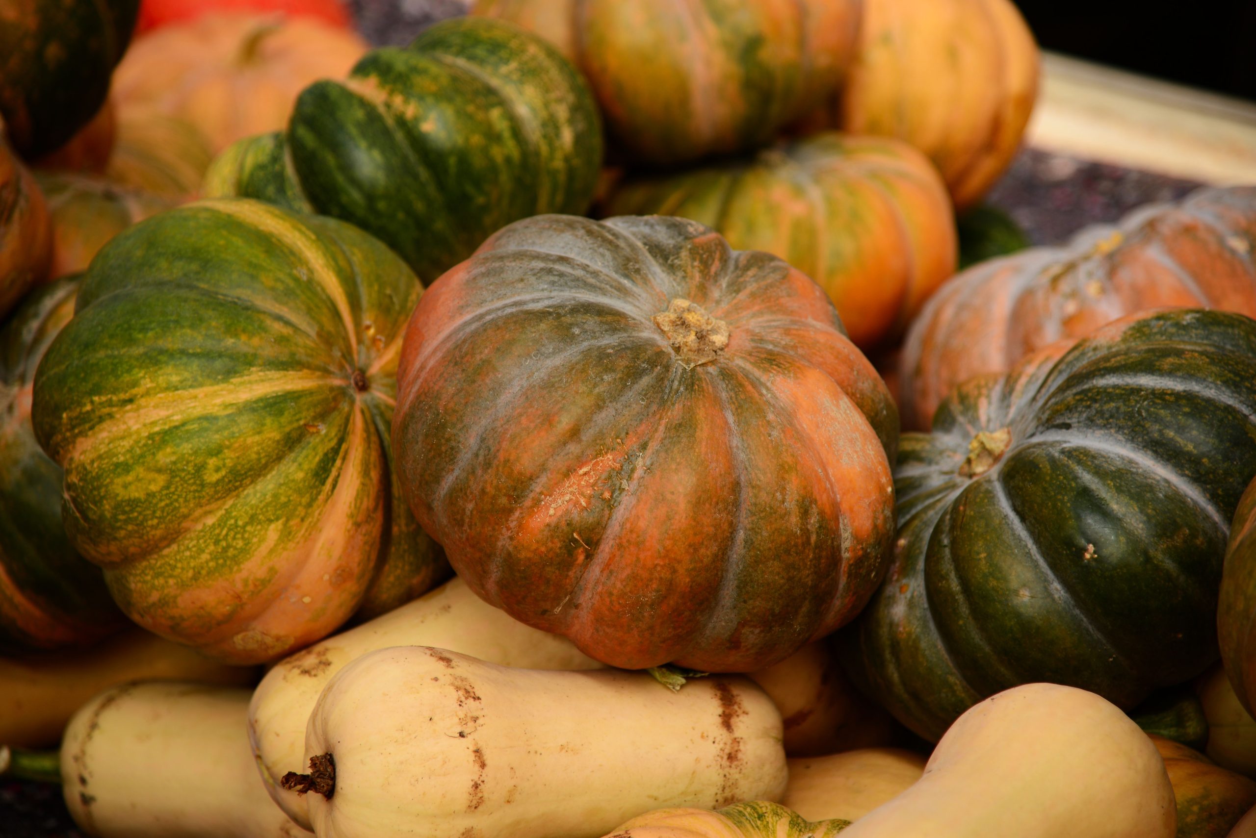 Collection vibrante de courges et citrouilles
