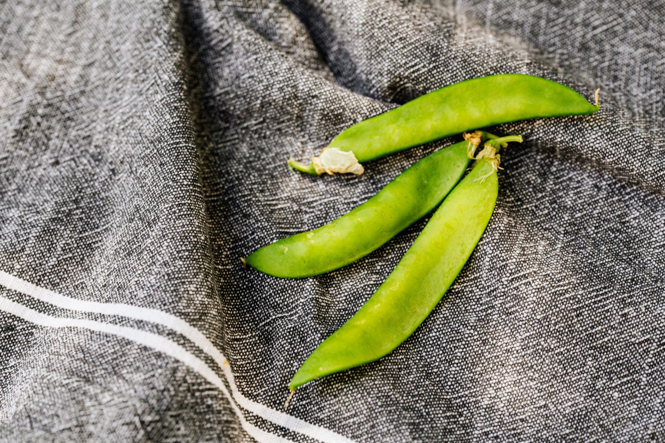 Pois mange tout verts vibrants sur fond textile foncé