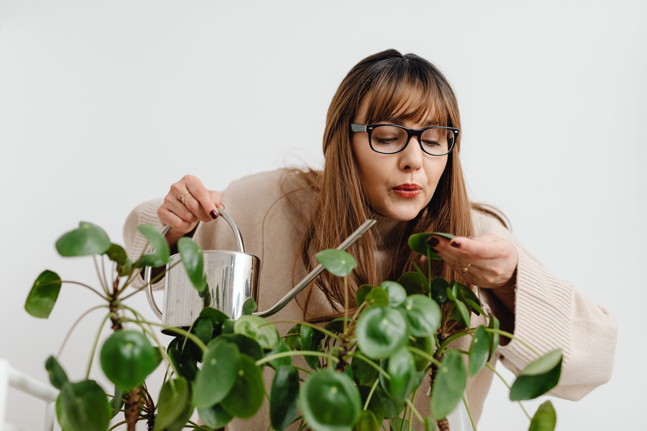 Femme arrose plante pilea avec arrosoir metal
