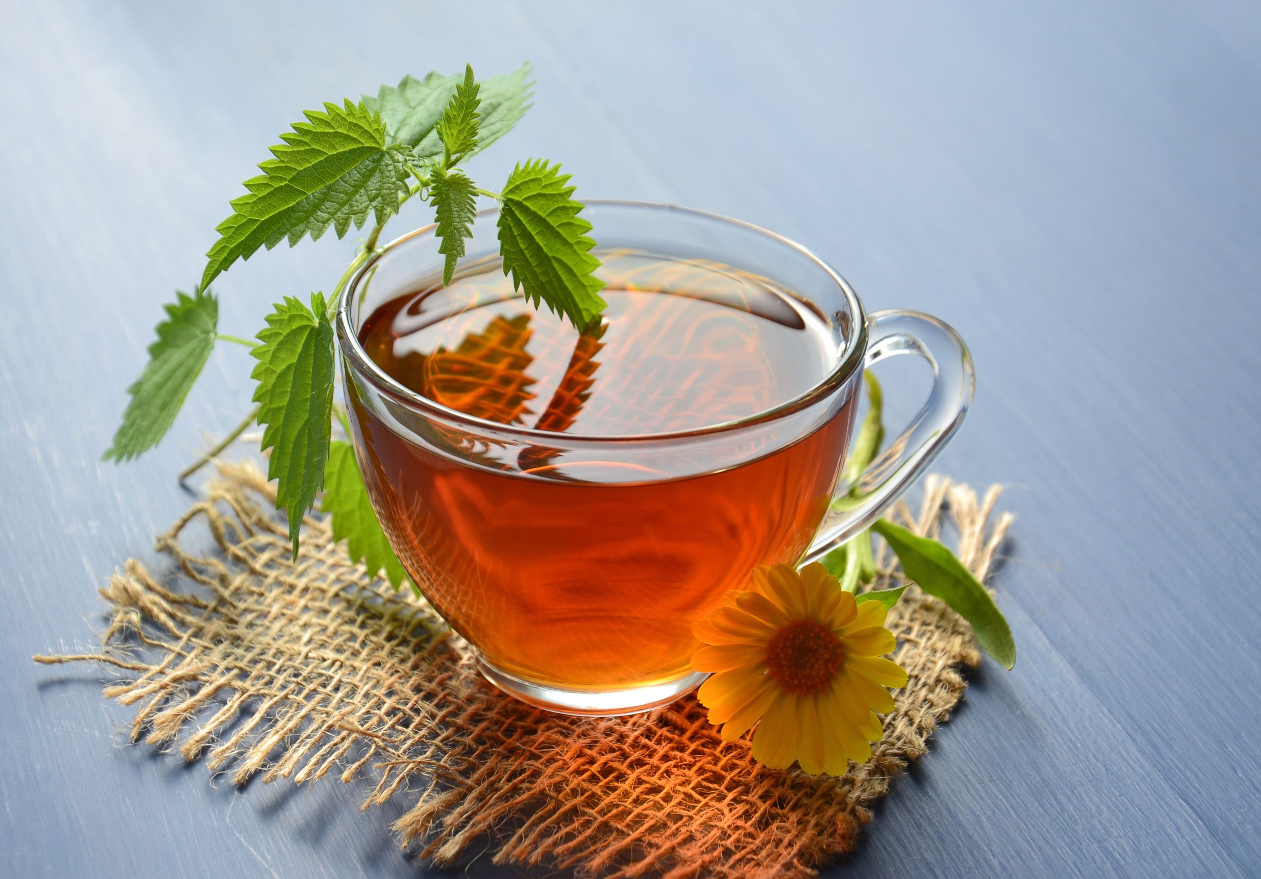 Tisane aux fleurs de souci et ortie