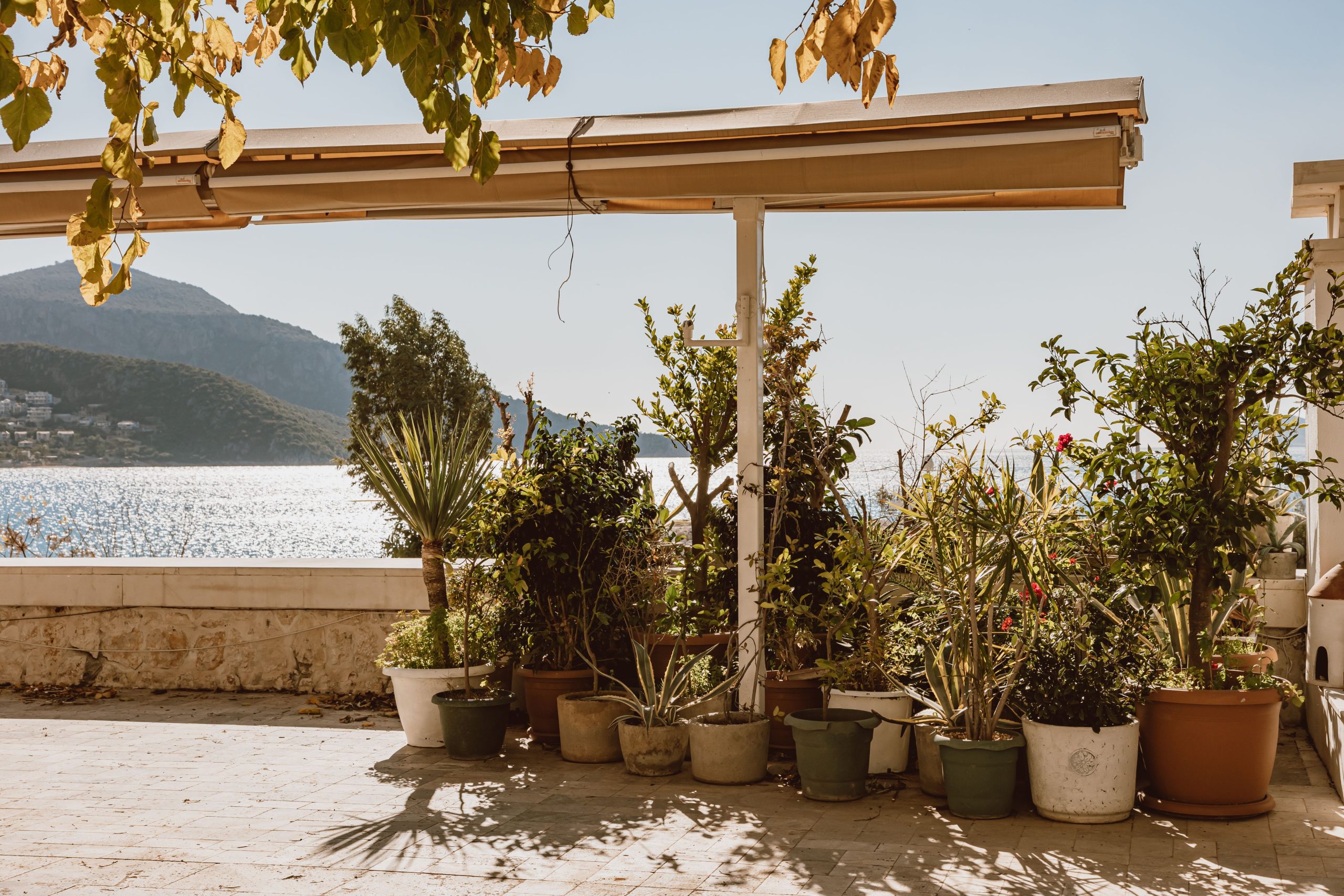 Terrasse avec plantes en pots vue sur océan